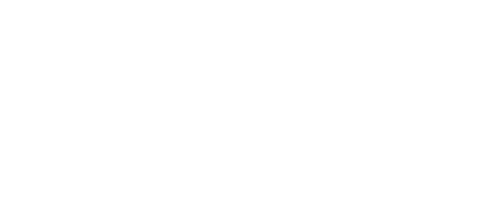 Copelme Team