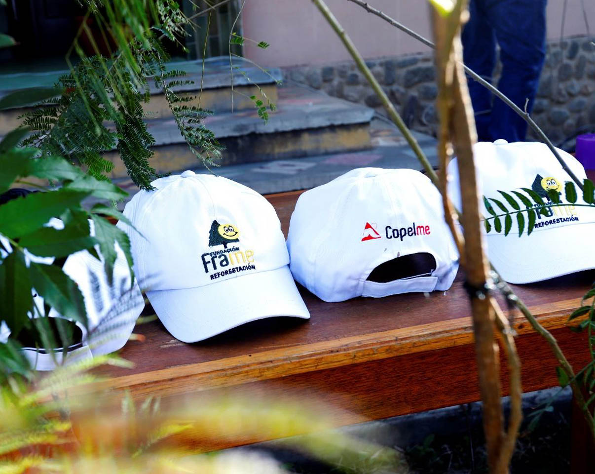 Copelme Team